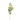 SL ROSA SPRAY 30"