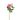 SL ROSA XL CON BOTON 24" NATURAL TOUCH