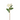 SL ROSA XL CON BOTON 24" NATURAL TOUCH