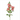 SL ROSA SPRAY 30"
