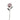 SS PEONY ROSA/SNOW 27.5"