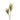 SS YUCCA X 2 SPRAY