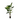 DF PLANTA TARO 183CM