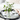 UM CHAROLA PEARL TRAY G