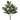 AS RUBBER BUSH 24"