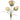 FLOR FAROL FOAM