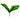 FP HOJA ORQUIDEA M