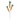 AT PICK 3 ZANAHORIAS 20"