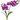 SL ORQUIDEA X2